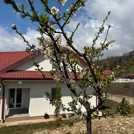 Villa Forest House *