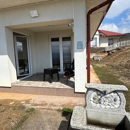 Vila Forest House Ilijas