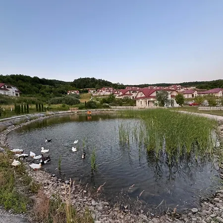 Forest House * Ilijas