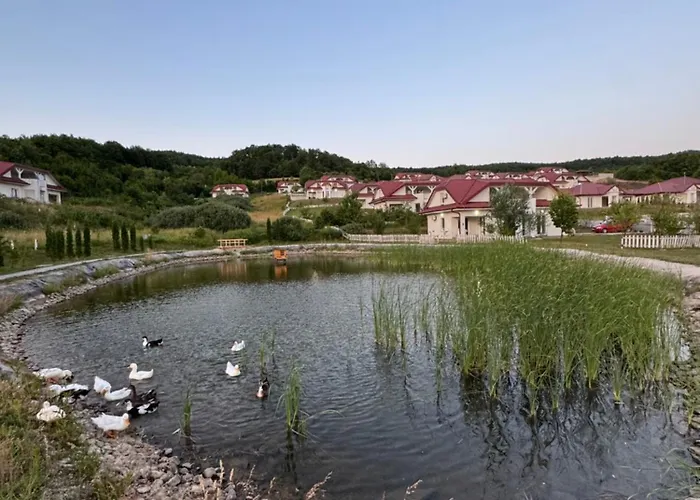 Forest House * Ilijas